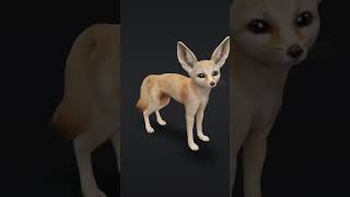 Rubah Fennec Vulpes Zerda Fun Kids