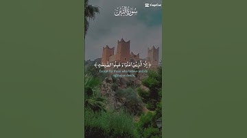 سورة التين #القارء هشام الهراز #قرآن #تلاوة_خاشعة