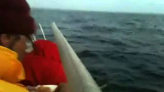 Chowder Aboard The Marisol