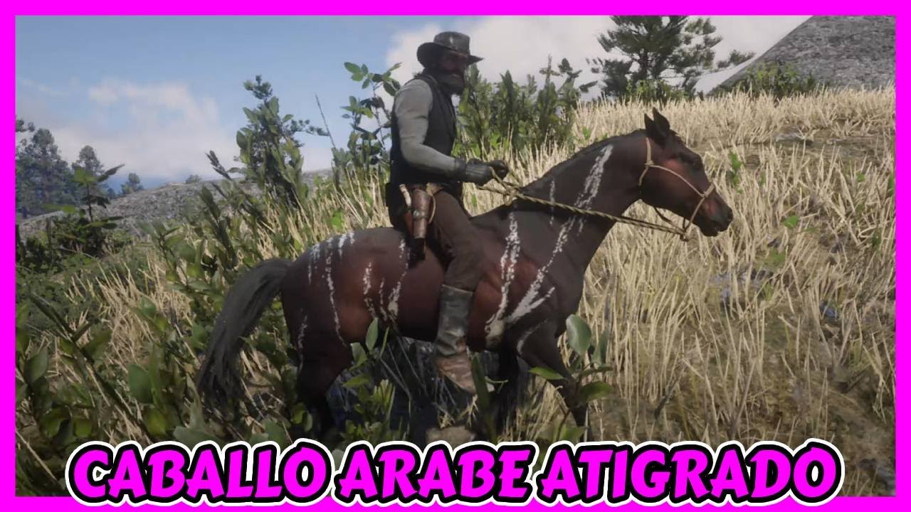 🟣 DONDE ENCONTRAR AL CABALLO ARABE ATIGRADO EN READ DEAD REDEMPTION 2 🟣