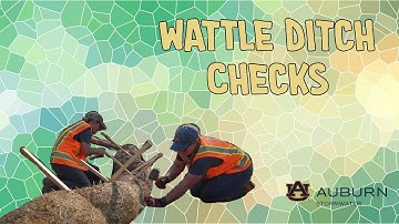 Stormwater Quick Dip 6: Installing Wattle Ditch Checks
