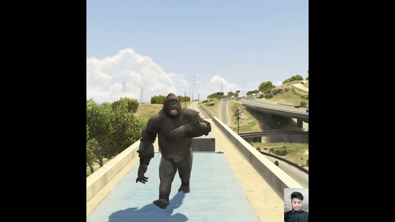 impossible train stop with Super Gorilla GTA5