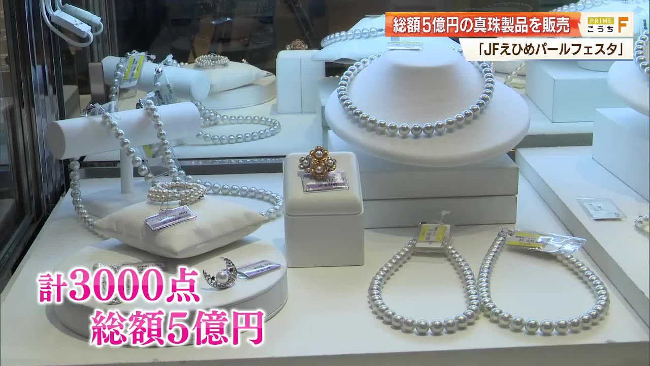 総額5億円の愛媛県産「高級アコヤ真珠」が高知に集結 希少な大粒や人気