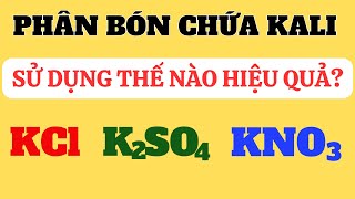 Các loại phân bón chứa KALI phổ biến | Kali clorua | Kali sunphat | Kali nitrat |  Kali cacbonat