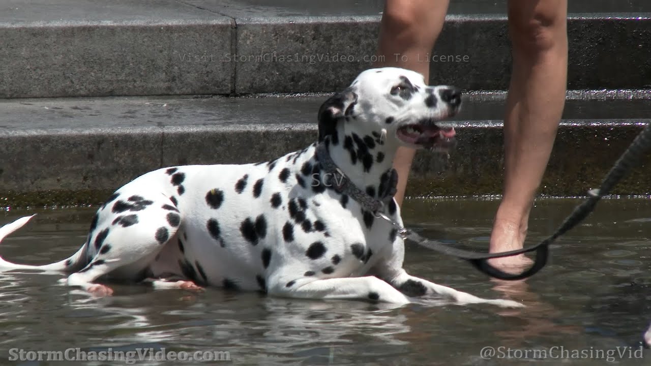 Washington Square Park Manhattan Heat Wave - 7/24/2022