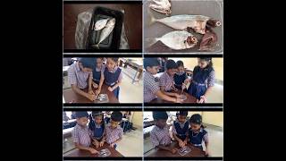 #class-4 evs#jeevikalum chuttupaadum/ജീവികളും ചുറ്റുപാടും #പരിസരപഠനം