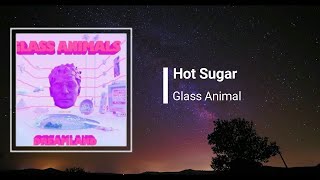 Glass Animal - Hot Sugar (Lyrics)