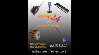 Grup 24 - Erik Dalı