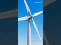 How Wind Energy Generates Electricity 🌬️⚡ l #trending l #viral l #electronics l #science l #led l