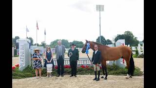 John French Dominates First Round of USHJA 3’/3’3” Green Hunter Incentive Finals