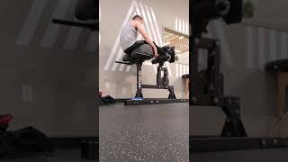 Prone GHD Pallof Hold