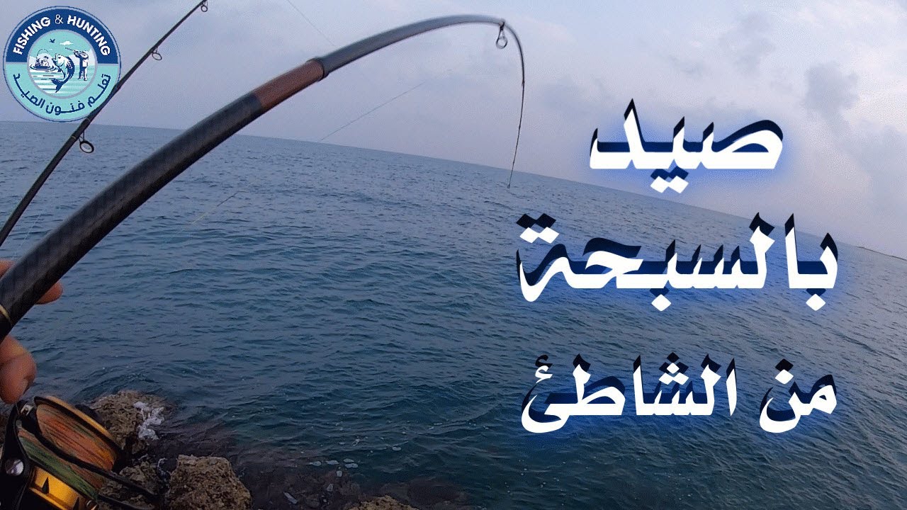 صيد بالسبحه من الشاطئ
