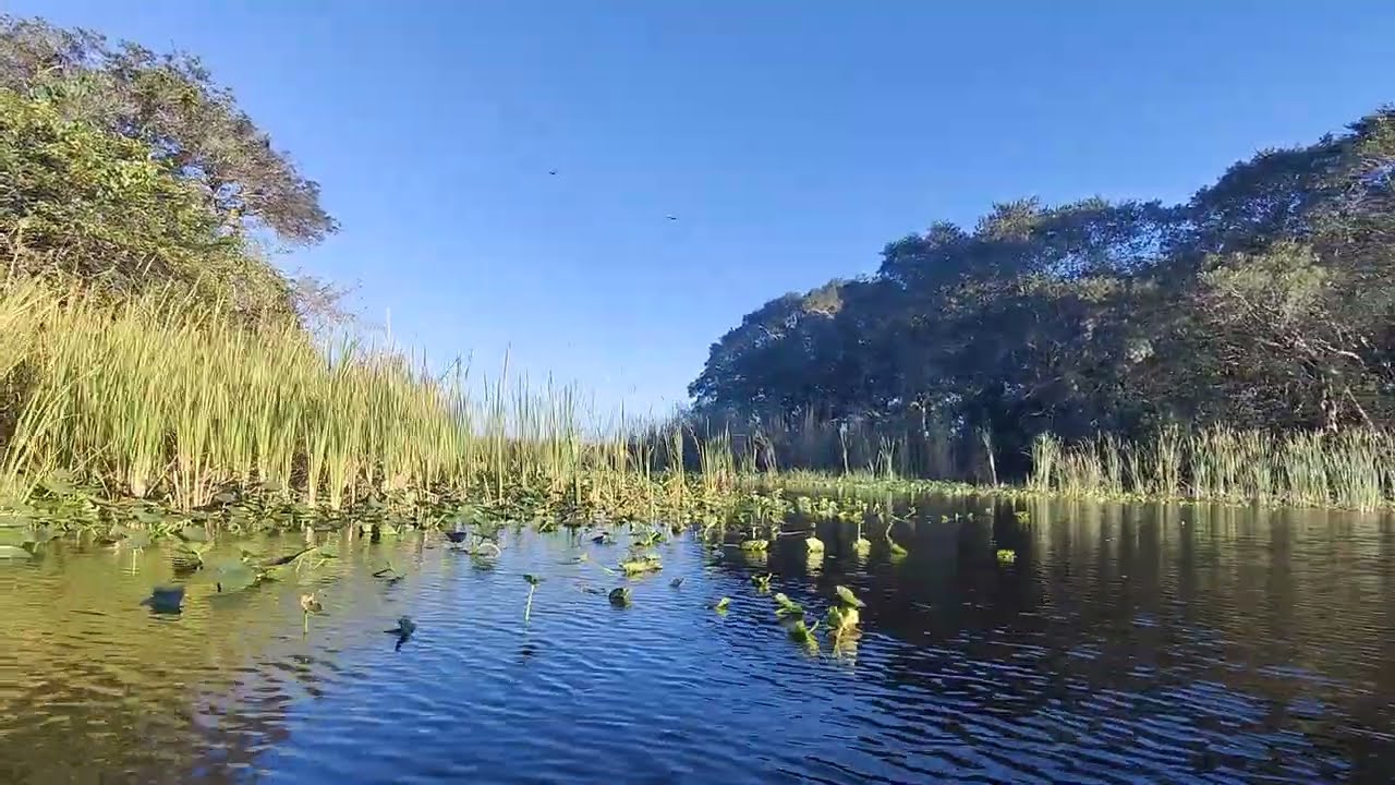 5/9 Florida Everglades National Park, Florida, USA