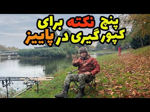 تصویری: بهترین مکان ها برای دیدن شاخ و برگ های پاییزی در ویسکانسین