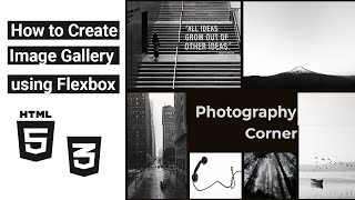 How to Create an Image Gallery Using Flexbox (HTML & CSS Only)