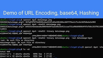 Demonstration of URL Encoding, Base64 and Hashing