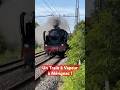 Un Train à Vapeur à Mérignac ! #soulac1900 #steamtrain