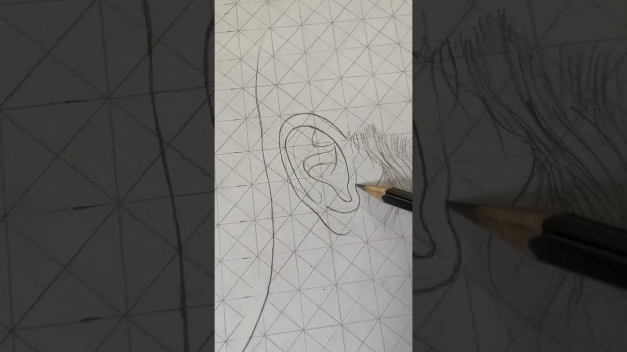 Outlines drawing of ragnar lothbrok from Vikings