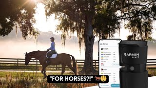 O gadget MAIS ESTRANHO da Garmin ate agora Um rastreador de condicionamento fisi