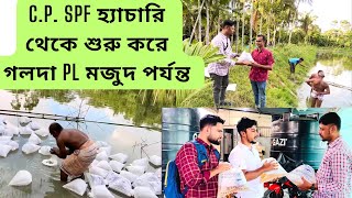 C.P. SPF গলদা চিংড়ি হ্যাচারি থেকে শুরু করে নতুন একটি গলদা চিংড়ি ফার্মে পিএল মজুদ পর্যন্ত যাওয়া.....  screenshot 5