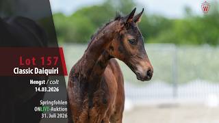 Show-Jumping Foal ONLIVE Auction Lot 157 Classic Daiquiri Colt by Corneo TF - Forlee