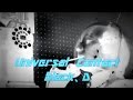 Universal　Contact ： めぐりあう世界　kurosawa daisuke