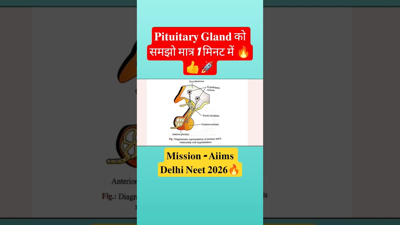 NEET biology most repeated Qs 🙋‍♂️l 