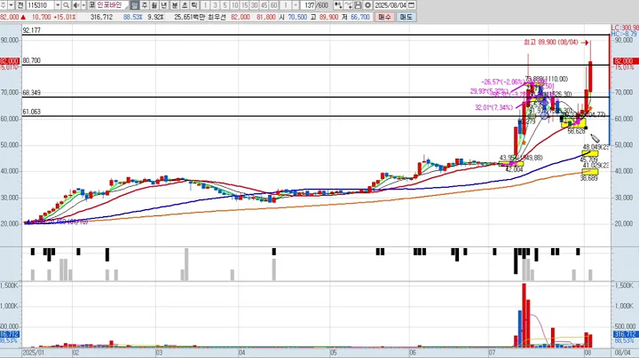 인포바인 3차 115310 패턴분석 및 투자전략