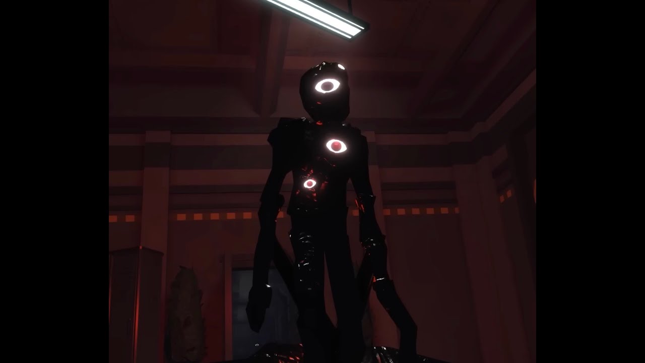 Seek Chase the Foundation!