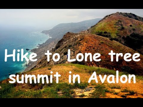 Lone Tree Point ll Hike Avalon,Catalina CA