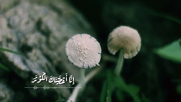 سورة الكوثر Sourat Al Kawthar بصوت القارئ أسامه مجر
