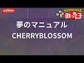 【ガイドなし】夢のマニュアル/CHERRYBLOSSOM【カラオケ】