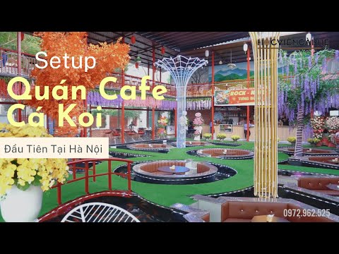 Setup Quán Cafe Cá Koi Đầu Tiên Tại Hà Nội