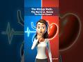 The Hiccup Hack: The Nerve vs. The Muscle Spasm 💢