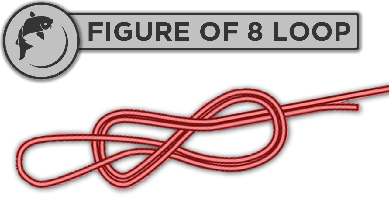 How To Tie A Figure Of Eight 8 Loop Knot 