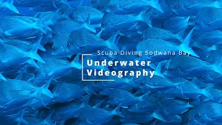 Underwater Videography - Scuba Diving Sodwana Bay