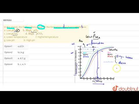 ভিডিও: অ্যালভিওলিতে অক্সিহেমোগ্লোবিন গঠনের জন্য কোন উপাদানটি অনুকূল?