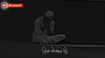 (إنا وجدناه صابراً نعم العبد إنه أواب) تلاوة خاشعة القارئ رعد الكردي |حالات واتس آب قرآن كريم