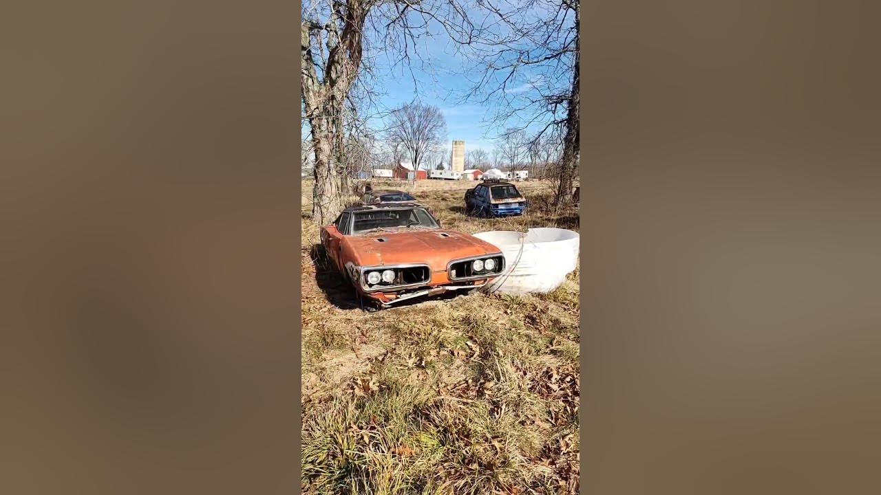 Hidden Mopar Junkyard Is a Goldmine of Rescued Barn Finds, Muscle