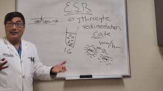 Erythrocyte Sedimentation Rate