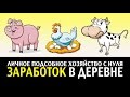 ЗАРАБОТОК В ДЕРЕВНЕ. куры-несушки, выращивание бройлеров, свиньи, крс