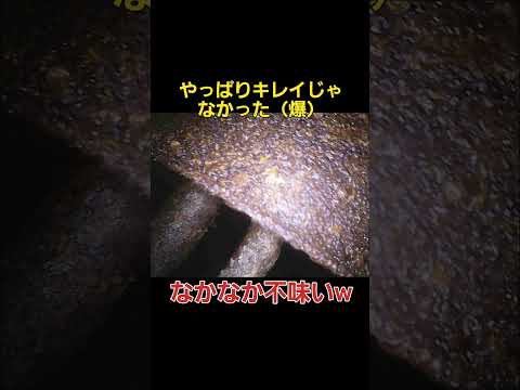1987 Century fuel tank condition　#VG40　　　　　　#旧車　#センチュリーエンジン修理　#jdmcars #Toyota Century