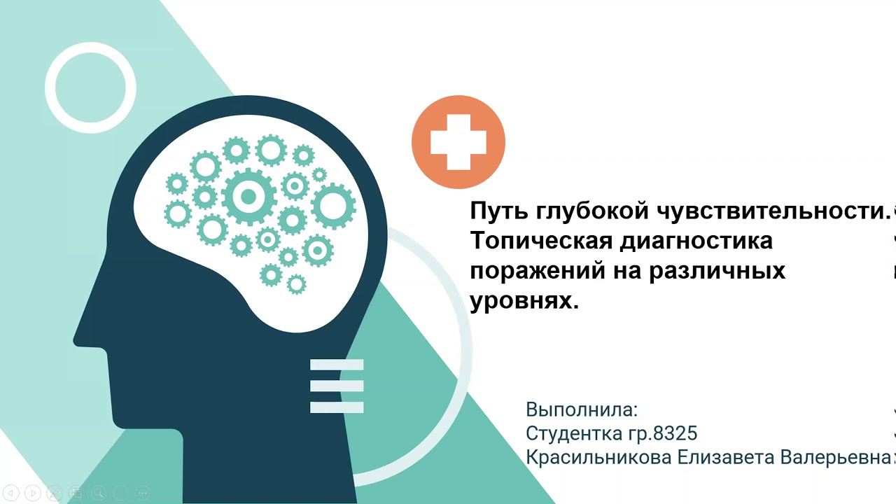 7 Путь глубокой чувствительности - YouTube