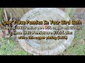 End of video