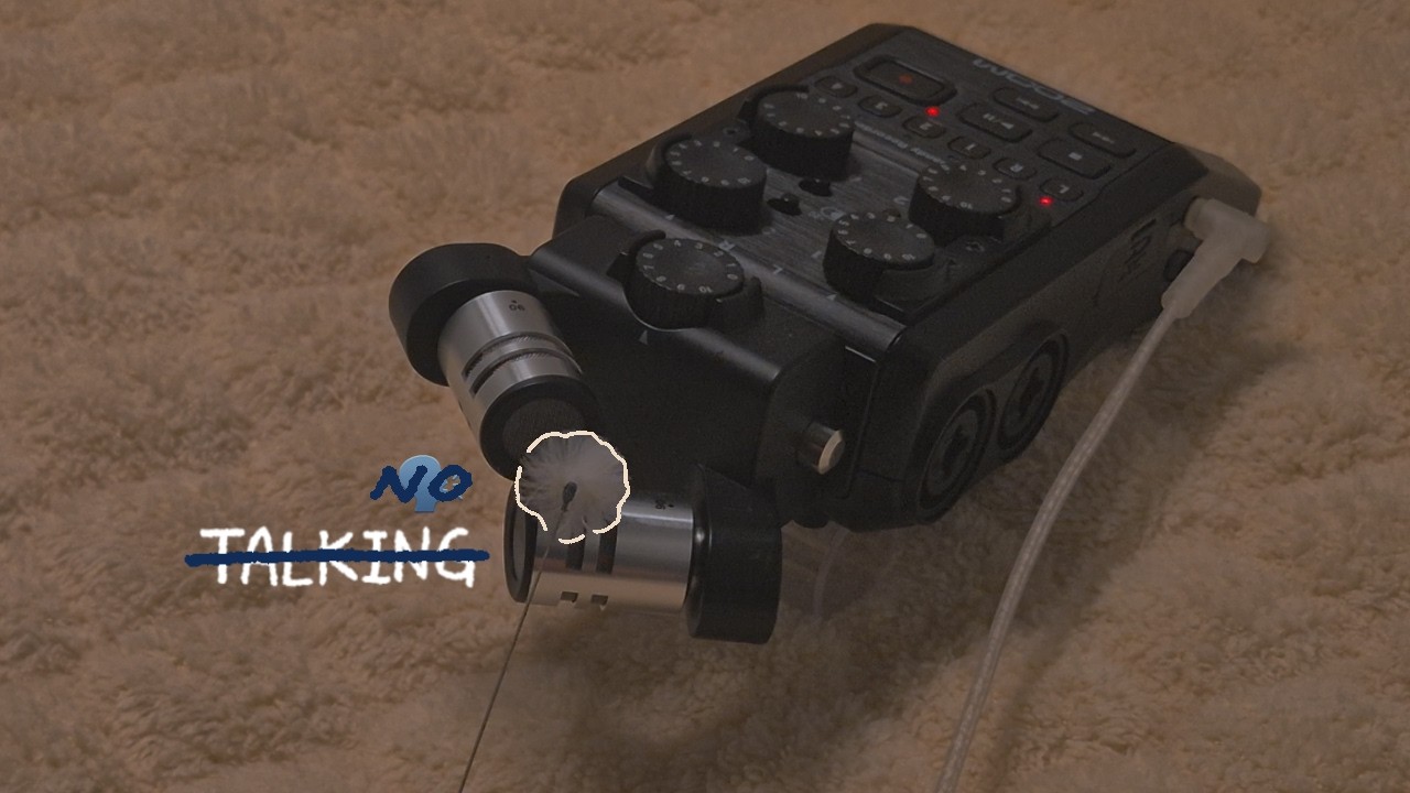 ⋆˚ No Talking ASMR  | 계속해서 뽀시락거리는 솜털 귀이개  | fluffy ear pick cleaning