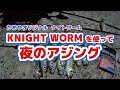 【アジング】かめやオリジナルワームを使ってアジ連発！
