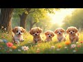 Relaxing Lofi with Cute Puppies 🐶✨ | Cozy &amp; Calming Animated Loop for Sleep, Study &amp; Chill 🎶