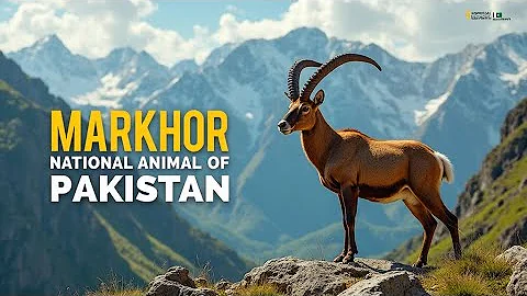 Markhor: The Majestic National Animal of Pakistan 🐐 | Mountain King of the Himalayas