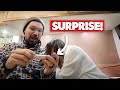 Surprising him! (I&#39;m pregnant)