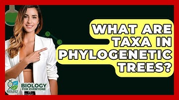 What Are Taxa In Phylogenetic Trees? - Biology For Everyone